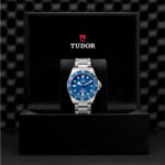 Tudor Pelagos - Image 3